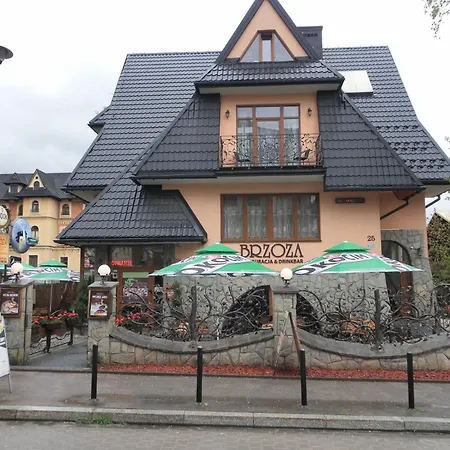 Brzoza w centrum Zakopanego-2